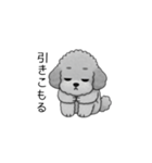 やる気のない・怠惰なトイプードル（個別スタンプ：17）