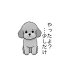 やる気のない・怠惰なトイプードル（個別スタンプ：20）