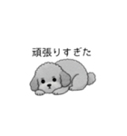 やる気のない・怠惰なトイプードル（個別スタンプ：21）