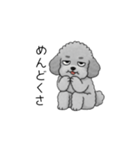 やる気のない・怠惰なトイプードル（個別スタンプ：23）