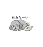 やる気のない・怠惰なトイプードル（個別スタンプ：24）