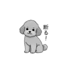 やる気のない・怠惰なトイプードル（個別スタンプ：25）