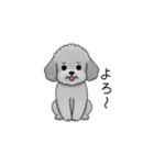 やる気のない・怠惰なトイプードル（個別スタンプ：26）