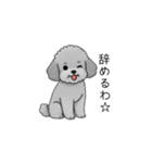 やる気のない・怠惰なトイプードル（個別スタンプ：27）