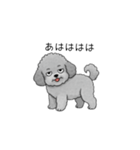 やる気のない・怠惰なトイプードル（個別スタンプ：32）