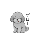 やる気のない・怠惰なトイプードル（個別スタンプ：34）