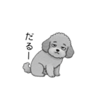 やる気のない・怠惰なトイプードル（個別スタンプ：35）