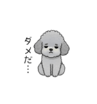 やる気のない・怠惰なトイプードル（個別スタンプ：36）