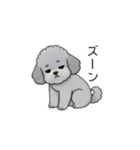 やる気のない・怠惰なトイプードル（個別スタンプ：37）