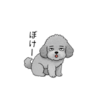 やる気のない・怠惰なトイプードル（個別スタンプ：38）