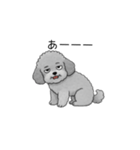 やる気のない・怠惰なトイプードル（個別スタンプ：39）