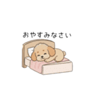 使いやすい敬語のトイプー(アプリコット)（個別スタンプ：3）