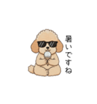 使いやすい敬語のトイプー(アプリコット)（個別スタンプ：5）