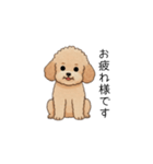 使いやすい敬語のトイプー(アプリコット)（個別スタンプ：8）