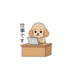 使いやすい敬語のトイプー(アプリコット)（個別スタンプ：9）