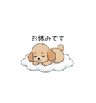 使いやすい敬語のトイプー(アプリコット)（個別スタンプ：10）