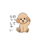 使いやすい敬語のトイプー(アプリコット)（個別スタンプ：11）