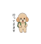 使いやすい敬語のトイプー(アプリコット)（個別スタンプ：12）