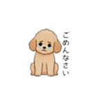 使いやすい敬語のトイプー(アプリコット)（個別スタンプ：15）