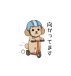 使いやすい敬語のトイプー(アプリコット)（個別スタンプ：18）