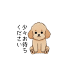 使いやすい敬語のトイプー(アプリコット)（個別スタンプ：21）