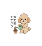 使いやすい敬語のトイプー(アプリコット)（個別スタンプ：22）