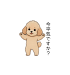 使いやすい敬語のトイプー(アプリコット)（個別スタンプ：23）