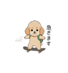 使いやすい敬語のトイプー(アプリコット)（個別スタンプ：25）