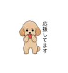 使いやすい敬語のトイプー(アプリコット)（個別スタンプ：26）