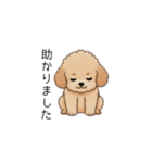 使いやすい敬語のトイプー(アプリコット)（個別スタンプ：27）