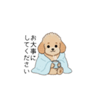 使いやすい敬語のトイプー(アプリコット)（個別スタンプ：28）