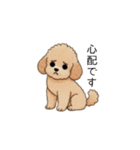 使いやすい敬語のトイプー(アプリコット)（個別スタンプ：29）