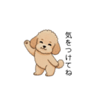 家族で使いやすいトイプー(アプリコット)（個別スタンプ：2）