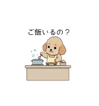 家族で使いやすいトイプー(アプリコット)（個別スタンプ：3）
