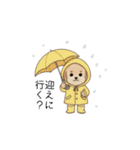 家族で使いやすいトイプー(アプリコット)（個別スタンプ：13）