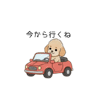 家族で使いやすいトイプー(アプリコット)（個別スタンプ：15）