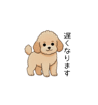 家族で使いやすいトイプー(アプリコット)（個別スタンプ：17）