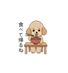 家族で使いやすいトイプー(アプリコット)（個別スタンプ：26）