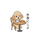 家族で使いやすいトイプー(アプリコット)（個別スタンプ：28）