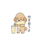 家族で使いやすいトイプー(アプリコット)（個別スタンプ：30）