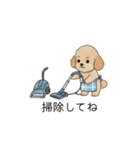 家族で使いやすいトイプー(アプリコット)（個別スタンプ：35）