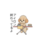 家族で使いやすいトイプー(アプリコット)（個別スタンプ：36）