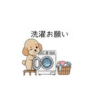 家族で使いやすいトイプー(アプリコット)（個別スタンプ：37）