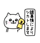 ぷるねこちゃーんわけわかめ（個別スタンプ：6）