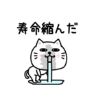 ぷるねこちゃーんわけわかめ（個別スタンプ：17）