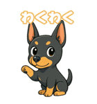 どべちゃんの癒まくりスタンプ♡（個別スタンプ：30）