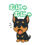 どべちゃんの癒まくりスタンプ♡（個別スタンプ：36）