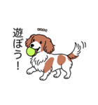 名前入りダックスレッドパイボールド（個別スタンプ：1）