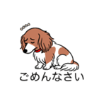 名前入りダックスレッドパイボールド（個別スタンプ：2）