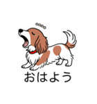 名前入りダックスレッドパイボールド（個別スタンプ：3）